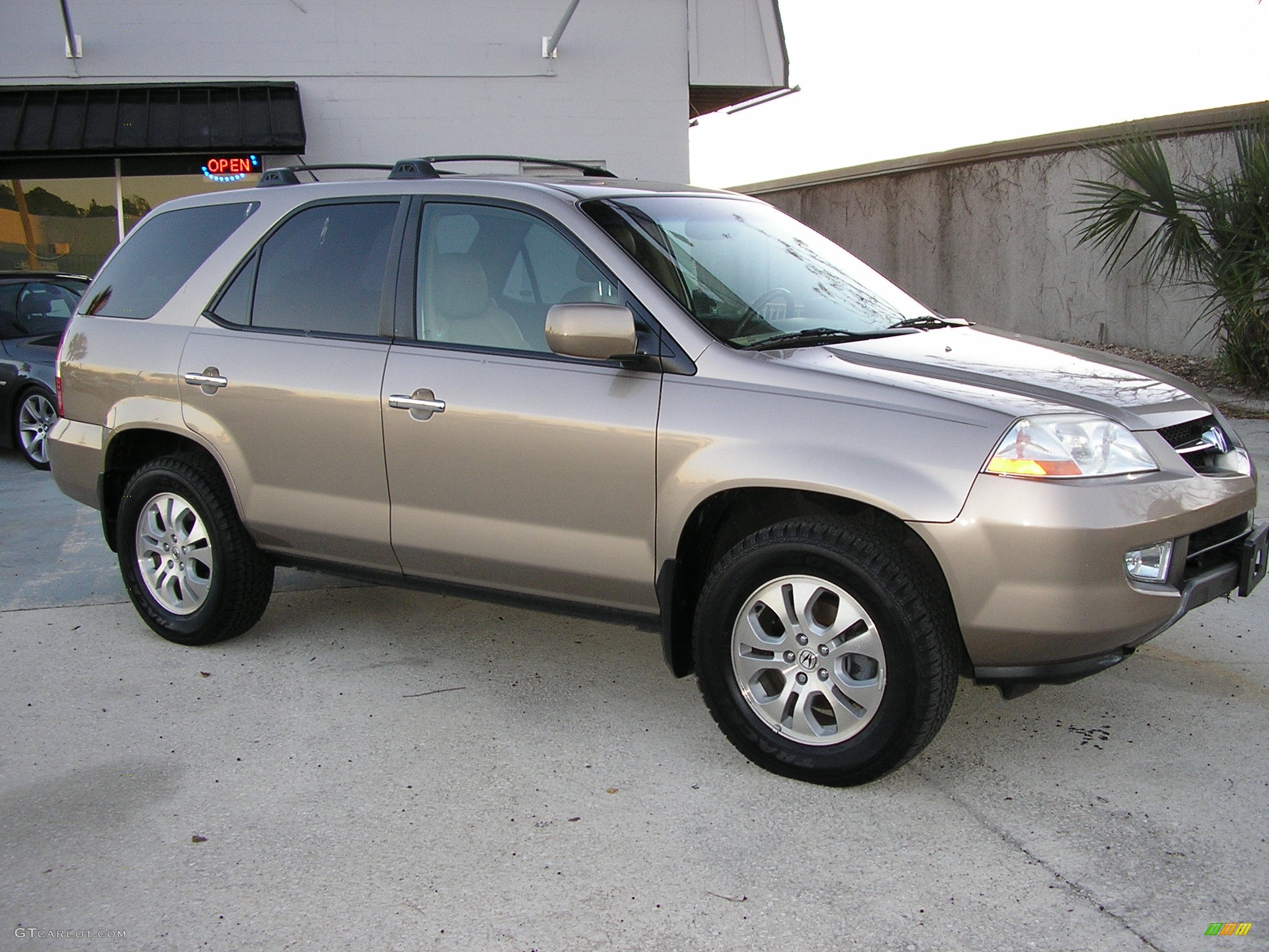 2004 MDX  - Sandstone Metallic / Natural Brown photo #7