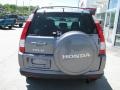 2005 Pewter Pearl Honda CR-V Special Edition 4WD  photo #5