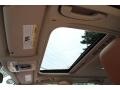 Saddle Brown Sunroof Photo for 2014 BMW 3 Series #95247117