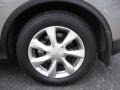 Platinum Graphite Gray - EX 35 AWD Photo No. 6