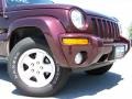 2004 Deep Molten Red Pearl Jeep Liberty Limited 4x4  photo #2