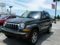 2005 Dark Khaki Pearl Jeep Liberty Limited  photo #1