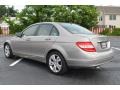 2008 Pewter Metallic Mercedes-Benz C 300 4Matic Luxury  photo #5