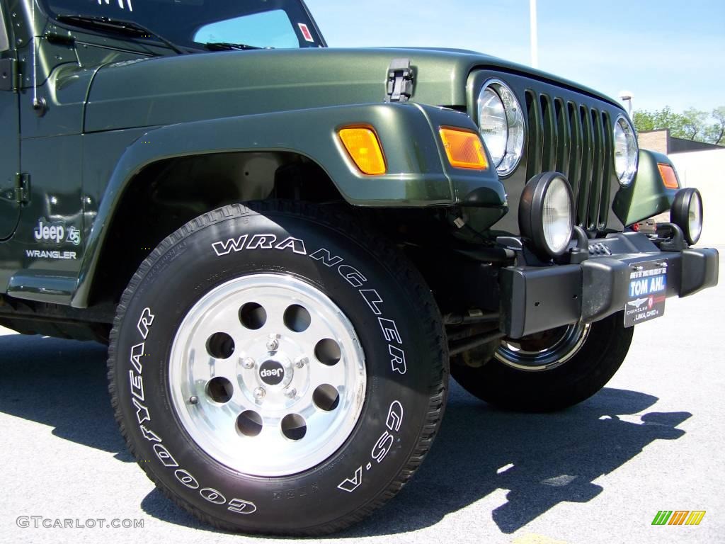 2006 Wrangler X 4x4 - Jeep Green Metallic / Dark Slate Gray photo #2