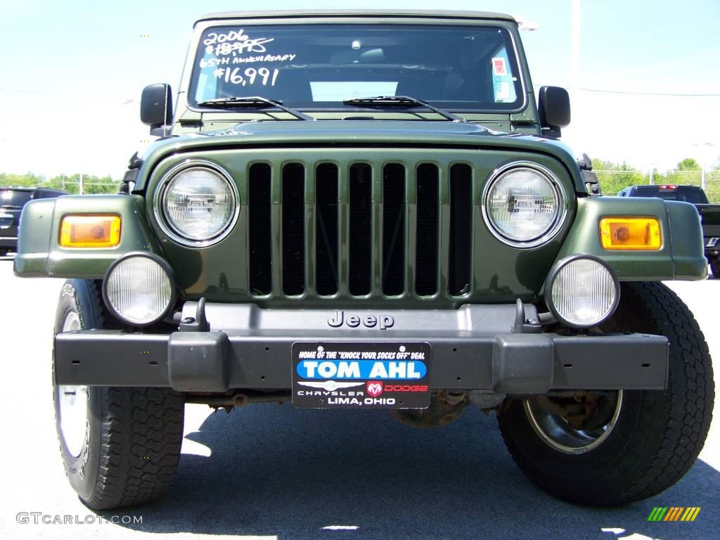 2006 Wrangler X 4x4 - Jeep Green Metallic / Dark Slate Gray photo #3