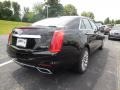 Black Raven - CTS Luxury Sedan AWD Photo No. 5
