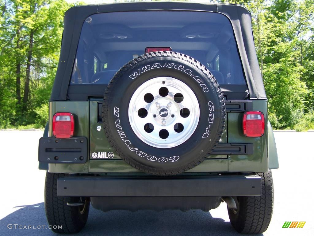 2006 Wrangler X 4x4 - Jeep Green Metallic / Dark Slate Gray photo #6