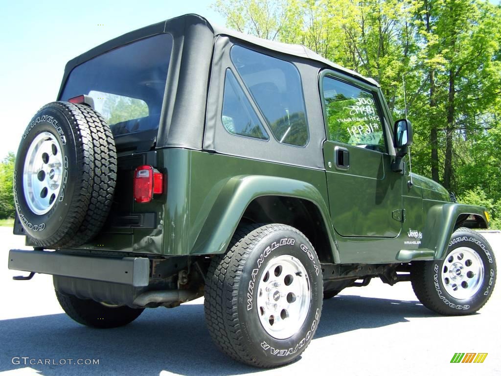 2006 Wrangler X 4x4 - Jeep Green Metallic / Dark Slate Gray photo #7