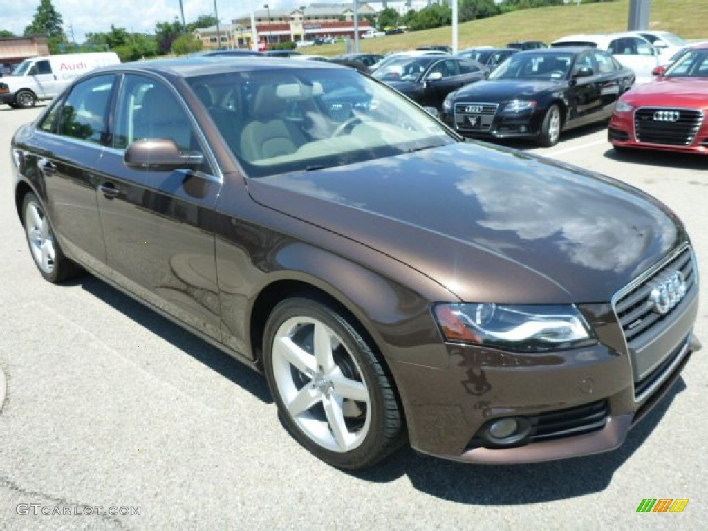 2011 A4 2.0T quattro Sedan - Teak Brown Metallic / Cardamom Beige photo #7