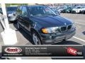 Oxford Green Metallic 2003 BMW X5 3.0i