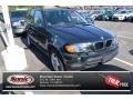 2003 Oxford Green Metallic BMW X5 3.0i #95244715