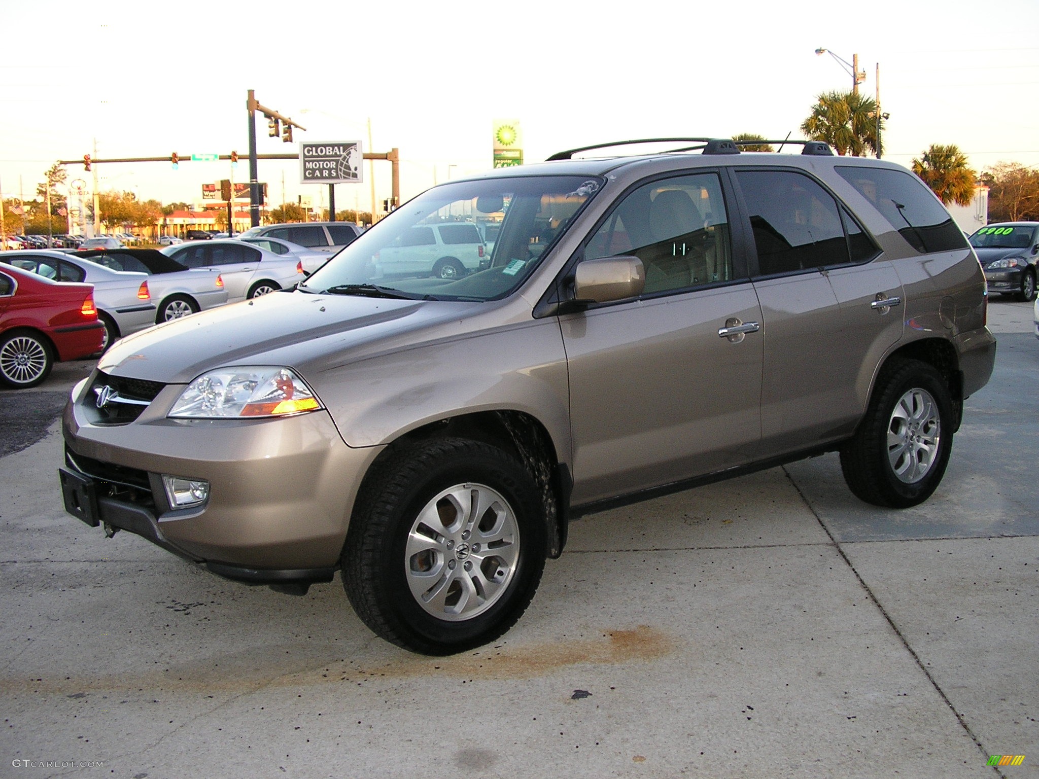 2004 MDX  - Sandstone Metallic / Natural Brown photo #16