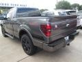 Sterling Grey - F150 FX2 Tremor Regular Cab Photo No. 5