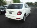 Arctic White - ML 350 4Matic Photo No. 3