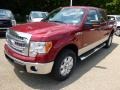 2014 Ruby Red Ford F150 XLT SuperCrew 4x4  photo #4