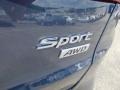 2014 Marlin Blue Hyundai Santa Fe Sport AWD  photo #8