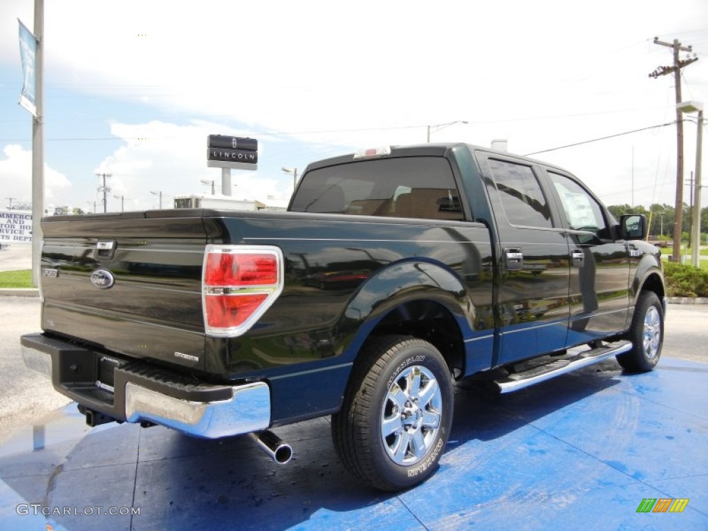 2014 F150 XLT SuperCrew - Green Gem / Steel Grey photo #3