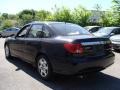 Black - L Series L300 Sedan Photo No. 8