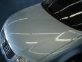Satin Silver Metallic - Passat GLX V6 4Motion Sedan Photo No. 9