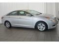 Radiant Silver - Sonata GLS Photo No. 5
