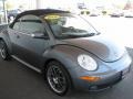 Platinum Grey - New Beetle 2.5 Convertible Photo No. 3