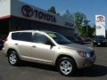 2007 Savannah Metallic Toyota RAV4 4WD  photo #1
