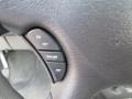 Medium Slate Gray Controls Photo for 2007 Dodge Caravan #95373910