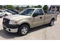 Pueblo Gold Metallic - F150 XL Regular Cab Photo No. 12