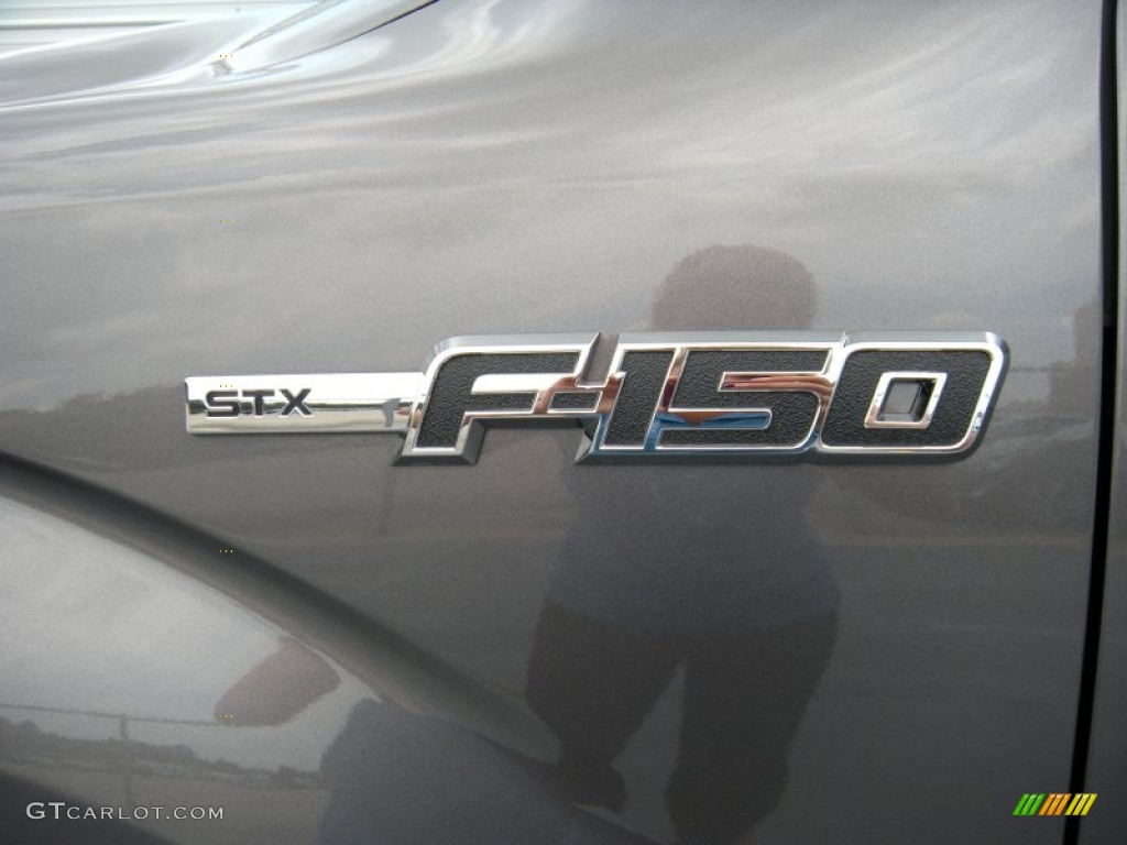 2014 F150 STX SuperCrew - Sterling Grey / Black photo #14