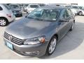 Platinum Gray Metallic - Passat TDI SEL Premium Photo No. 3