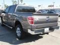 2014 Sterling Grey Ford F150 XLT SuperCrew 4x4  photo #5