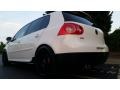 Candy White - GTI 4 Door Photo No. 27