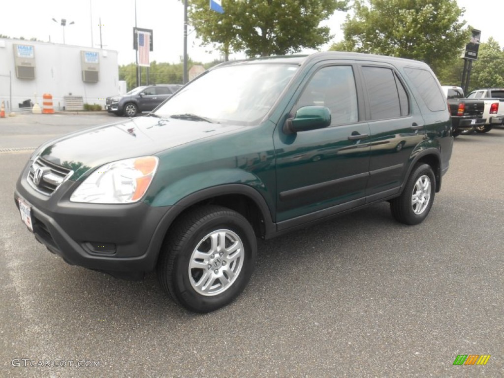 2004 CR-V EX 4WD - Clover Green Pearl / Saddle photo #3