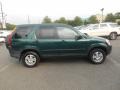 2004 Clover Green Pearl Honda CR-V EX 4WD  photo #6