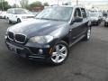 Monaco Blue Metallic 2010 BMW X5 xDrive30i