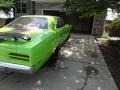 Limelight Green - Road Runner Coupe Photo No. 29