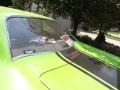 Limelight Green - Road Runner Coupe Photo No. 30