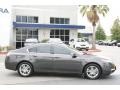Grigio Gray Metallic - TL 3.5 Photo No. 7
