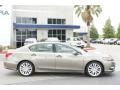 Gilded Pewter Metallic - RLX Technology Package Photo No. 7