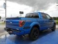 Blue Flame - F150 FX2 SuperCrew Photo No. 3