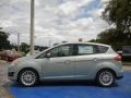 Ice Storm 2014 Ford C-Max Hybrid SEL Exterior