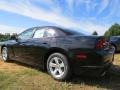 Pitch Black - Charger SE Photo No. 2