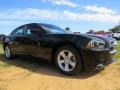 Pitch Black - Charger SE Photo No. 4