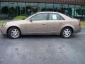 Radiant Bronze - CTS Sedan Photo No. 2