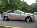 Sand Storm - CTS Sedan Photo No. 5