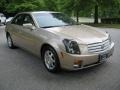 Sand Storm - CTS Sedan Photo No. 6