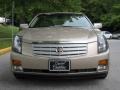 Sand Storm - CTS Sedan Photo No. 7