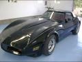 Black 1981 Chevrolet Corvette Coupe