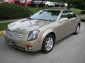 Sand Storm - CTS Sedan Photo No. 8