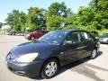 Labrador Black Pearl 2004 Mitsubishi Lancer ES